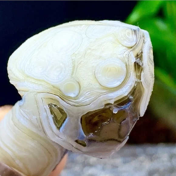 33G Natural Gobi Thousand Eyed Agate Mushroom Shape Natural Gemstone Hand Carved - Picture 6 of 8